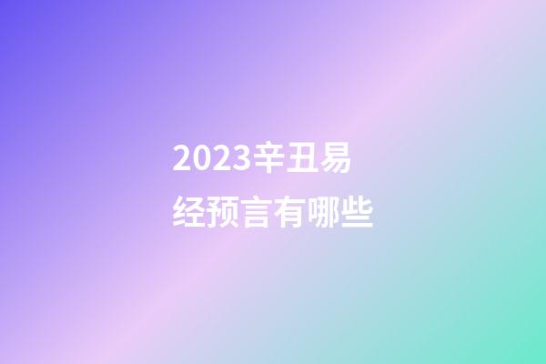 2023辛丑易经预言有哪些