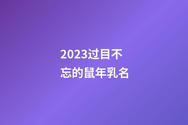2023过目不忘的鼠年乳名