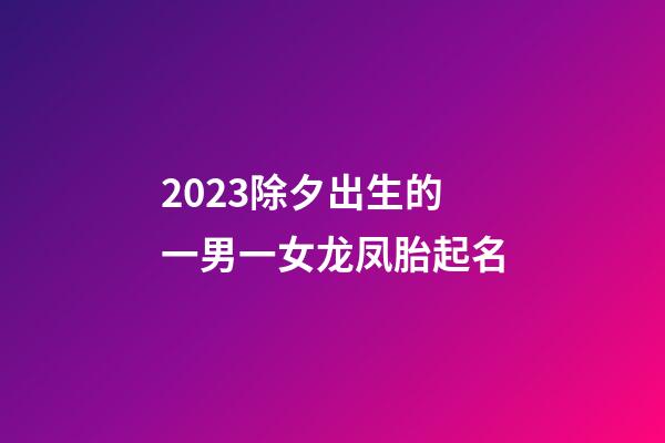 2023除夕出生的一男一女龙凤胎起名