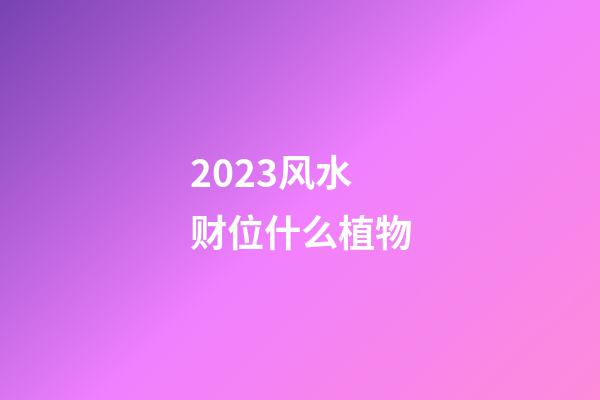 2023风水财位什么植物