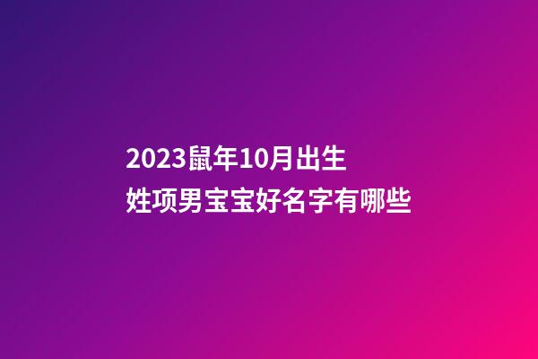 2023鼠年10月出生姓项男宝宝好名字有哪些