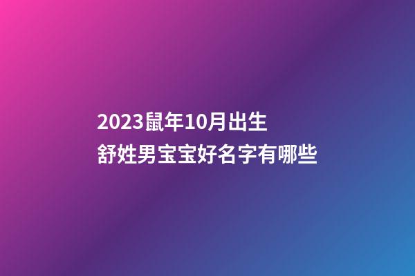 2023鼠年10月出生舒姓男宝宝好名字有哪些