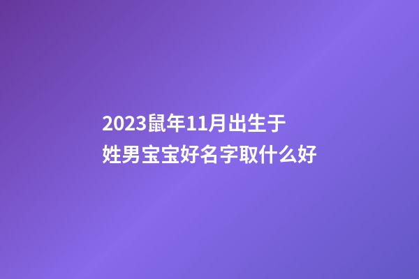 2023鼠年11月出生于姓男宝宝好名字取什么好