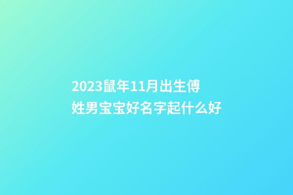 2023鼠年11月出生傅姓男宝宝好名字起什么好