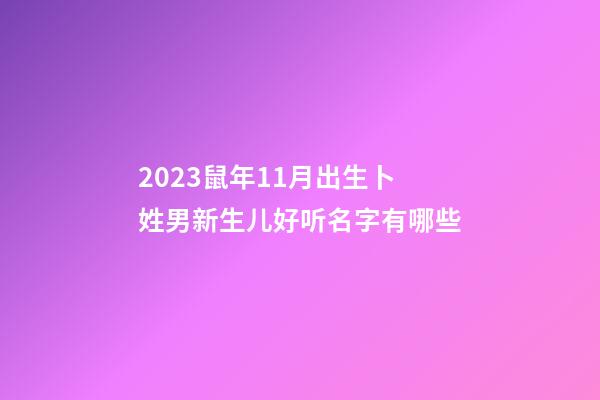 2023鼠年11月出生卜姓男新生儿好听名字有哪些