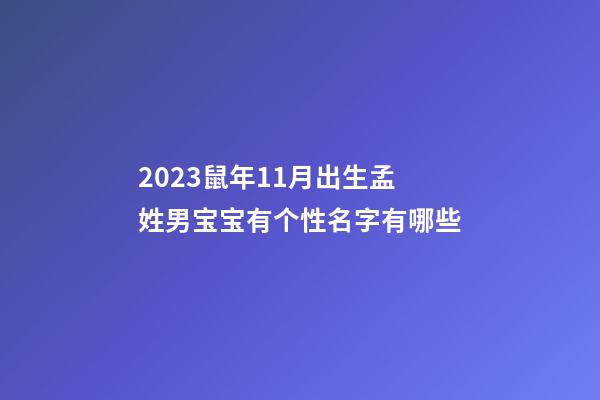 2023鼠年11月出生孟姓男宝宝有个性名字有哪些