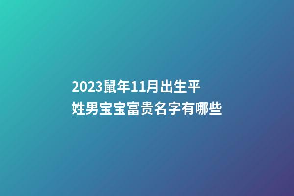 2023鼠年11月出生平姓男宝宝富贵名字有哪些