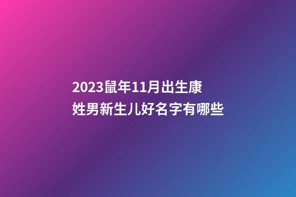 2023鼠年11月出生康姓男新生儿好名字有哪些