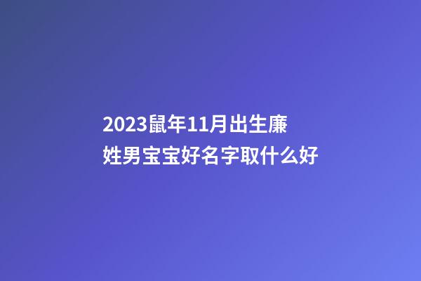 2023鼠年11月出生廉姓男宝宝好名字取什么好