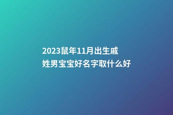 2023鼠年11月出生戚姓男宝宝好名字取什么好