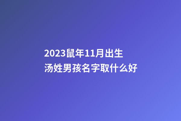 2023鼠年11月出生汤姓男孩名字取什么好