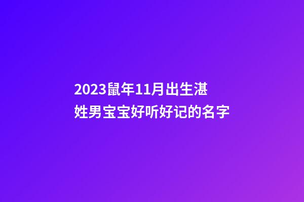 2023鼠年11月出生湛姓男宝宝好听好记的名字