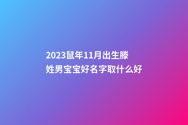 2023鼠年11月出生滕姓男宝宝好名字取什么好