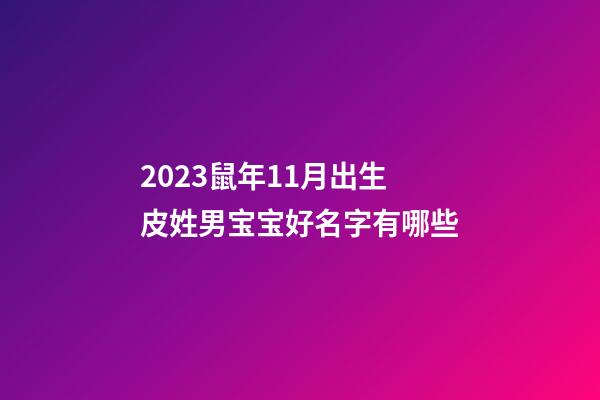2023鼠年11月出生皮姓男宝宝好名字有哪些