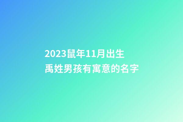 2023鼠年11月出生禹姓男孩有寓意的名字