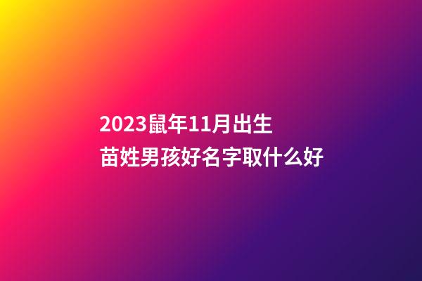 2023鼠年11月出生苗姓男孩好名字取什么好