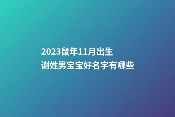 2023鼠年11月出生谢姓男宝宝好名字有哪些