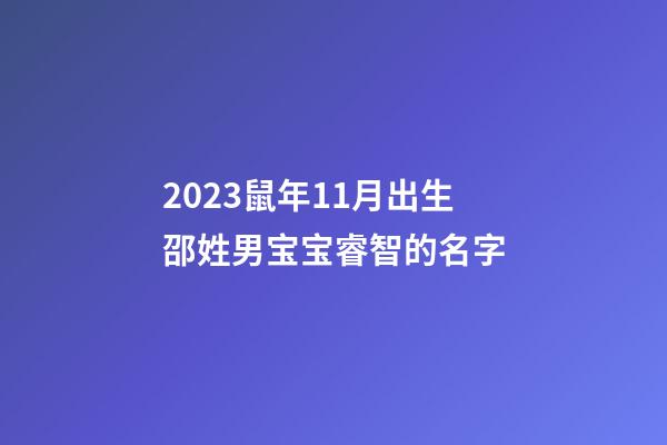 2023鼠年11月出生邵姓男宝宝睿智的名字