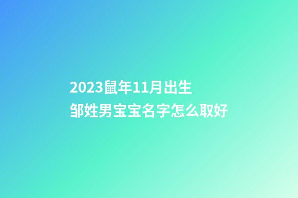 2023鼠年11月出生邹姓男宝宝名字怎么取好