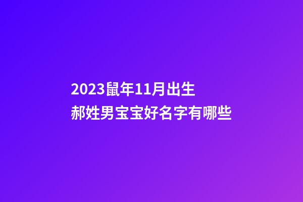 2023鼠年11月出生郝姓男宝宝好名字有哪些