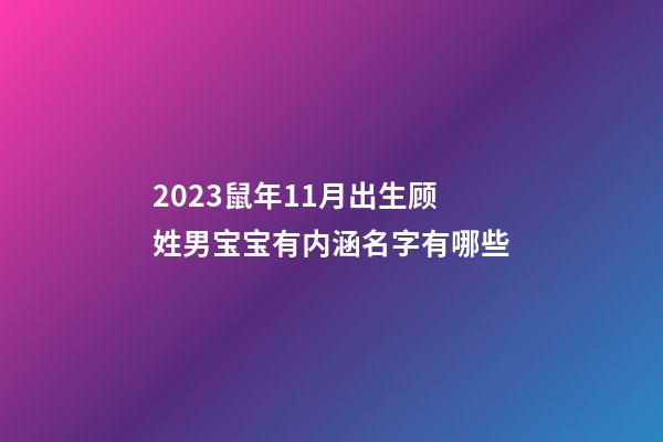 2023鼠年11月出生顾姓男宝宝有内涵名字有哪些