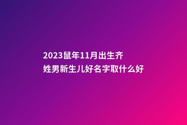 2023鼠年11月出生齐姓男新生儿好名字取什么好