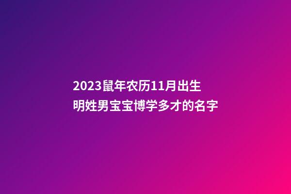 2023鼠年农历11月出生明姓男宝宝博学多才的名字
