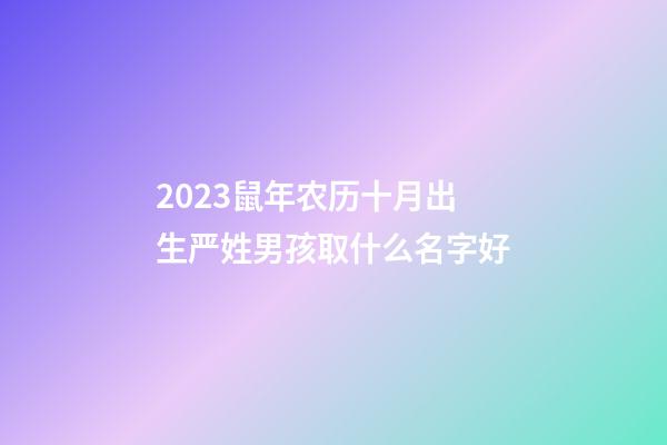 2023鼠年农历十月出生严姓男孩取什么名字好