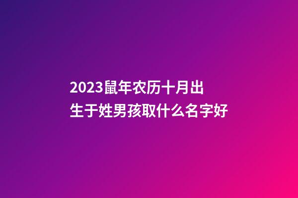 2023鼠年农历十月出生于姓男孩取什么名字好