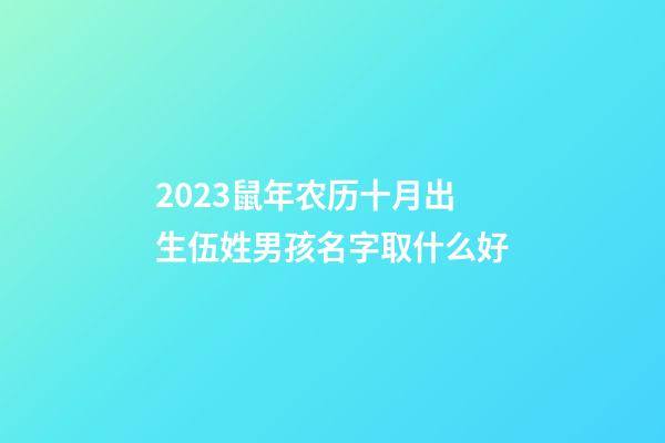2023鼠年农历十月出生伍姓男孩名字取什么好