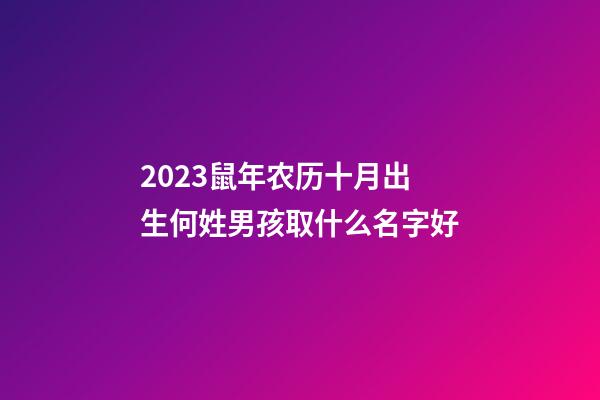 2023鼠年农历十月出生何姓男孩取什么名字好