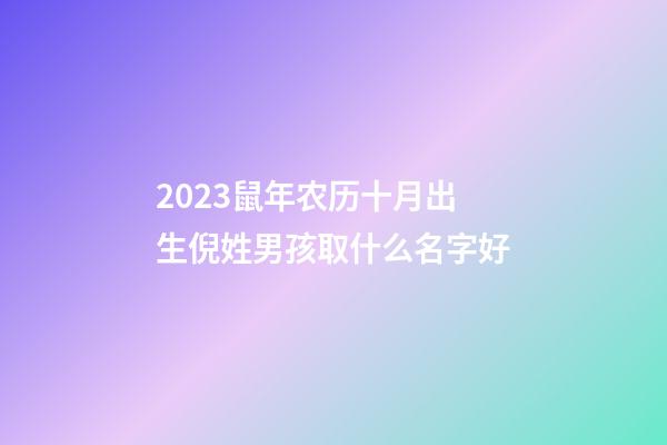 2023鼠年农历十月出生倪姓男孩取什么名字好