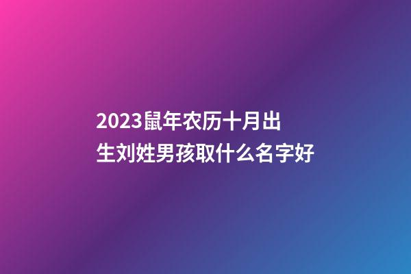 2023鼠年农历十月出生刘姓男孩取什么名字好