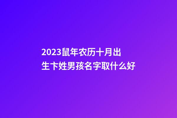 2023鼠年农历十月出生卞姓男孩名字取什么好