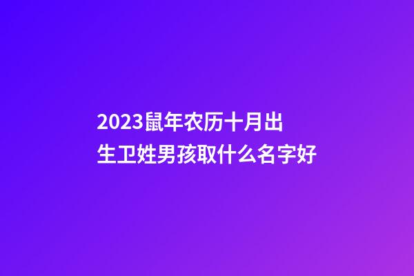 2023鼠年农历十月出生卫姓男孩取什么名字好