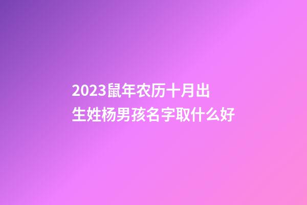 2023鼠年农历十月出生姓杨男孩名字取什么好