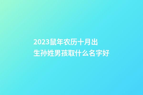 2023鼠年农历十月出生孙姓男孩取什么名字好