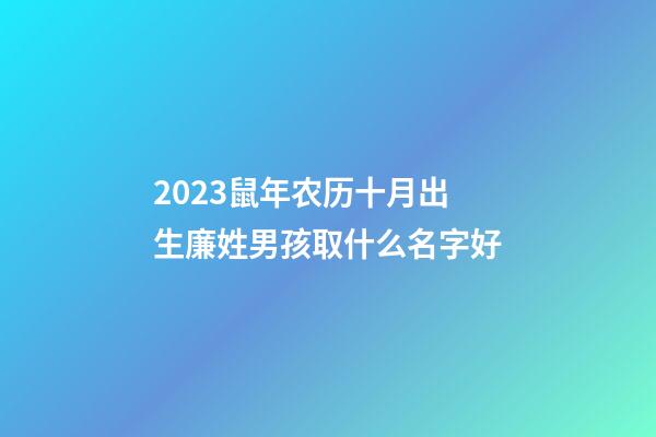 2023鼠年农历十月出生廉姓男孩取什么名字好