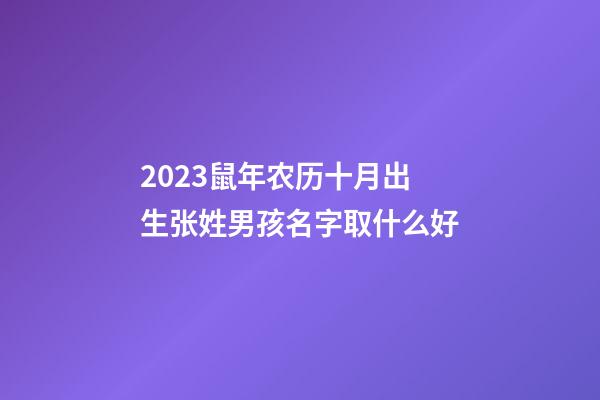 2023鼠年农历十月出生张姓男孩名字取什么好