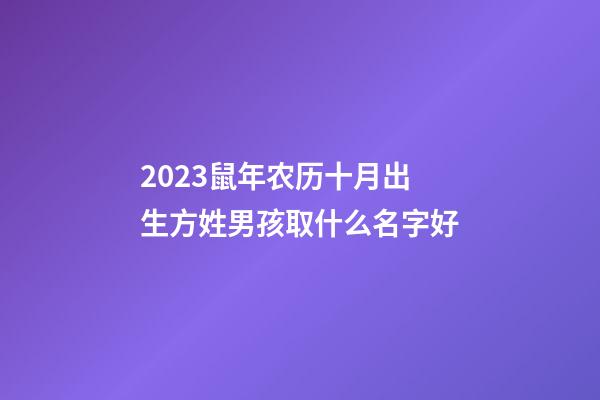2023鼠年农历十月出生方姓男孩取什么名字好