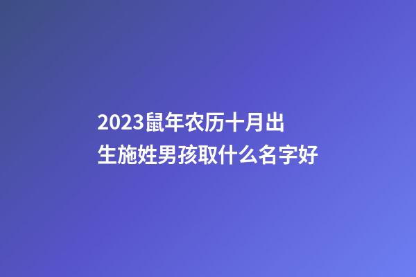 2023鼠年农历十月出生施姓男孩取什么名字好
