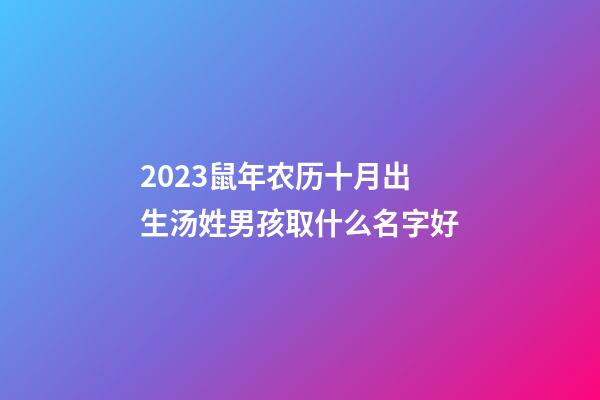 2023鼠年农历十月出生汤姓男孩取什么名字好