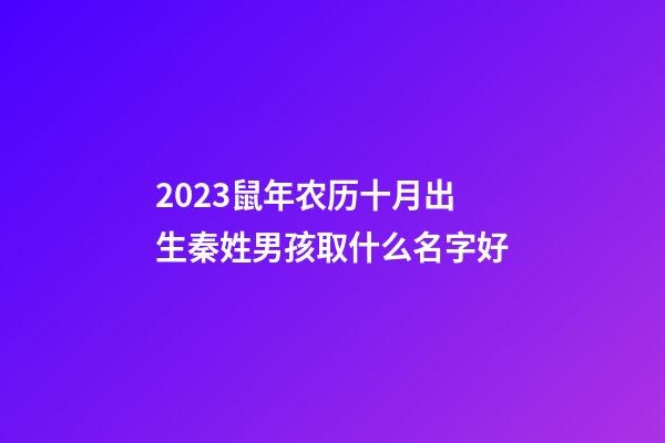 2023鼠年农历十月出生秦姓男孩取什么名字好