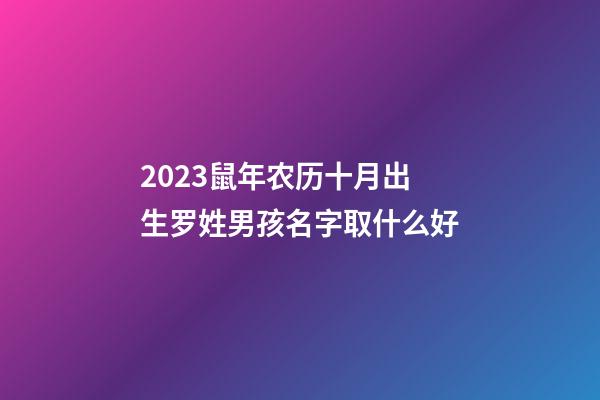 2023鼠年农历十月出生罗姓男孩名字取什么好