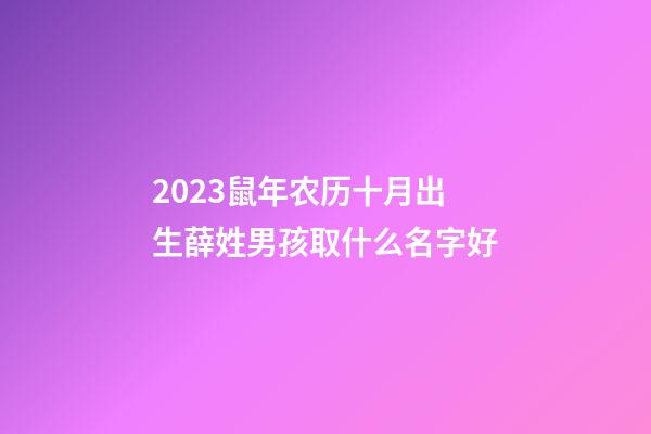 2023鼠年农历十月出生薛姓男孩取什么名字好