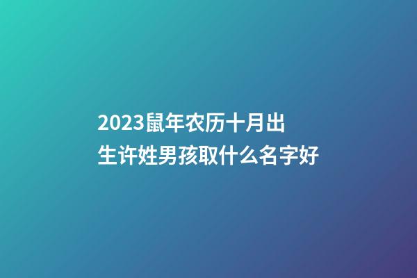 2023鼠年农历十月出生许姓男孩取什么名字好