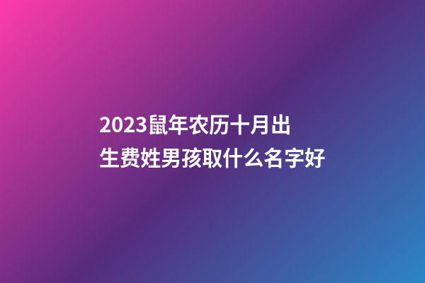 2023鼠年农历十月出生费姓男孩取什么名字好