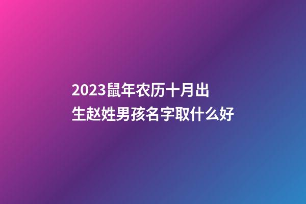 2023鼠年农历十月出生赵姓男孩名字取什么好