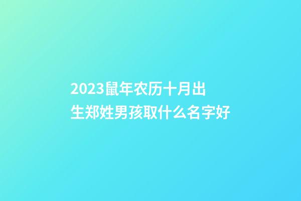 2023鼠年农历十月出生郑姓男孩取什么名字好