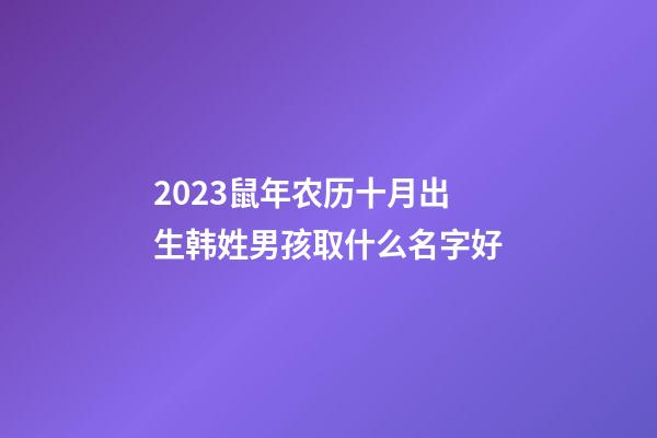 2023鼠年农历十月出生韩姓男孩取什么名字好